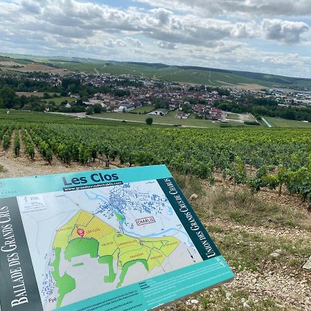 Le Cristallin Gite Plein Coeur De Chablis Dış mekan fotoğraf