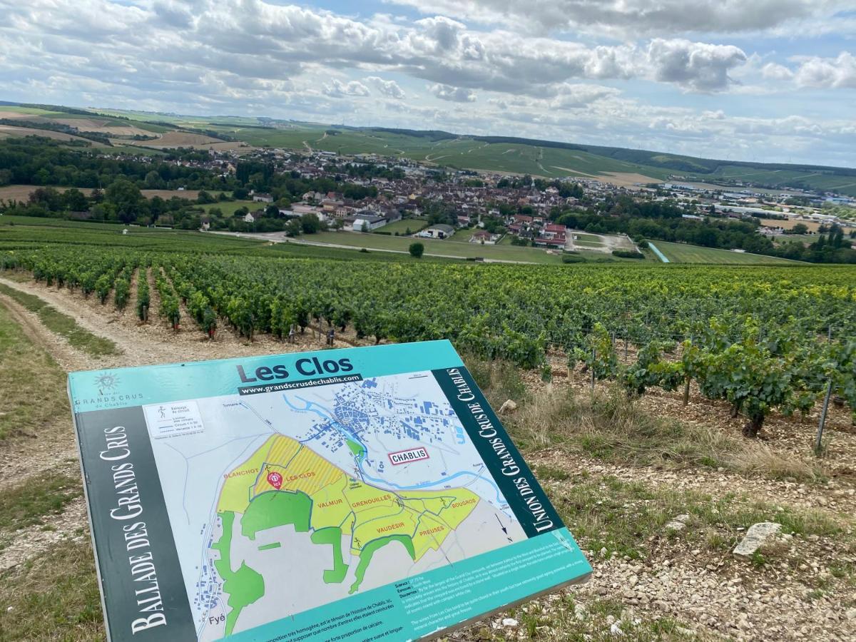 Le Cristallin Gite Plein Coeur De Chablis Dış mekan fotoğraf
